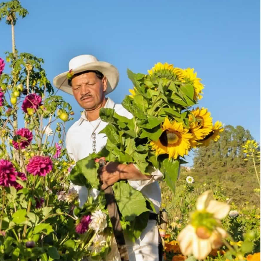 Turismo Rural en Medellín