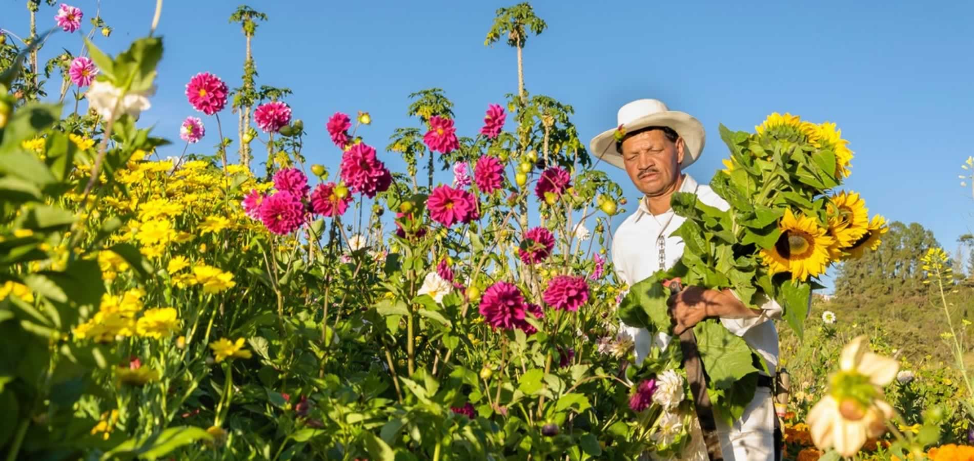 Turismo Rural en Medellín