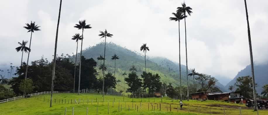 EJE CAFETERO TOUR